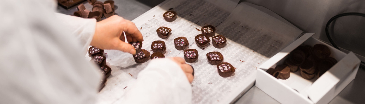 CHOCOLATE TECHNIQUES WORKSHOP